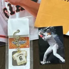 Item thumbnail for item 450cca23-8fac-49b5-84d1-607be4564d00