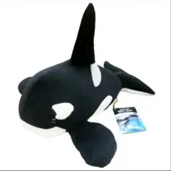 名古屋港水族館　シャチのアースもちもちぬいぐるみ　新品タグつき