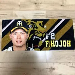 北条 阪神タイガース