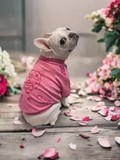 Item thumbnail for item 943028f9-9933-4b07-b929-722f2b9d5b59