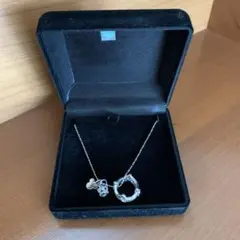 Item thumbnail for item e0654618-5ea3-417f-87e6-4a85479b693e