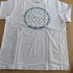 Item thumbnail for item 703d2982-898d-4b7b-9ffd-8a3f61f9ed77