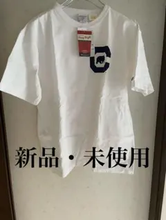 Champion T1011 Cal Berkeley MADE IN USA