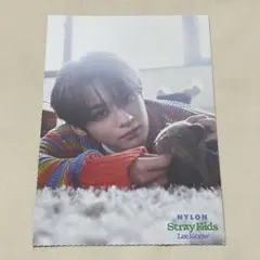 【即購入可】2023 NYLON 特典 両面 フォトカード 味噌