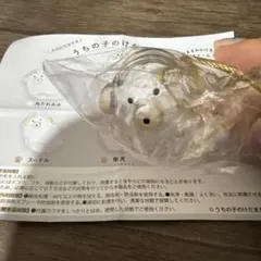 うちの子のけだまだま　プードル