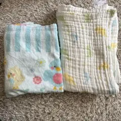 Item thumbnail for item 18cf253f-1dee-48a0-b839-bb0c21498651