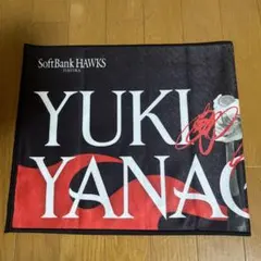 Item thumbnail for item ef7e8018-3499-4d35-9dcf-024254badb37