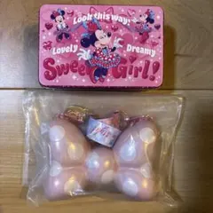 ディズニー パルパルーザ ミニー ファンダーランド スーベニア チョコレート缶