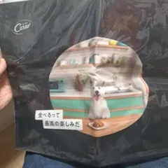 Item thumbnail for item 96173ea6-1128-4188-96fd-bbec6a3a2804