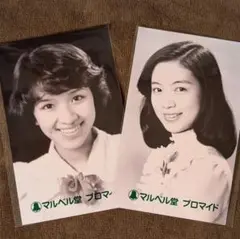 野中小百合（ 糸川蛍子 ） 森田つぐみ ブロマイド 写真 2枚セット マルベル堂