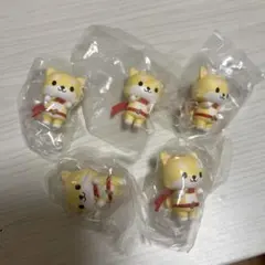 JOCHUM ジェオチャム　ならぶんです　まめちぃ