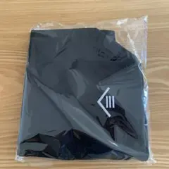 Item thumbnail for item a99966ba-26df-4cd4-a2f5-240494cee636