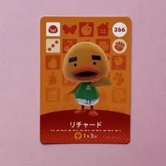 ライママ様 リクエスト 2点 まとめ商品