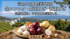 採れたて！新玉ねぎ 紫玉ねぎ 生ニンニク 3点セット 富士山の麓産 1.3kgのサムネイル