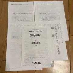 サピックス 学校別サピックスオープン 渋谷教育学園渋谷中学校　2025年　渋渋