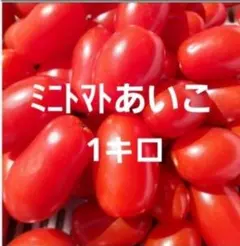 ミニトマトあいこ 1キロのサムネイル
