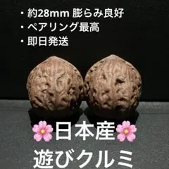 2026年最新】文玩核桃の人気アイテム - メルカリ