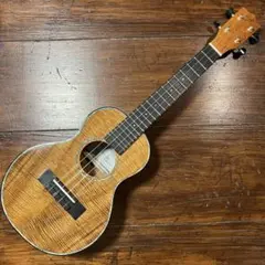 KIWAYA KC-HK/MG ① マスターグレードコア オールコア コンサート 