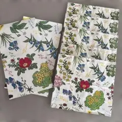 Item thumbnail for item df36e234-1fa8-48f3-b51f-4b53242e3409