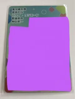 にじさんじチップスVol.4 葉加瀬/夜見/ニュイ/郡道/神田 シークレット
