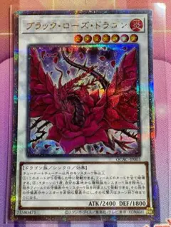 遊戯王　ブラックローズドラゴン　25thシークレット 1枚　⑤