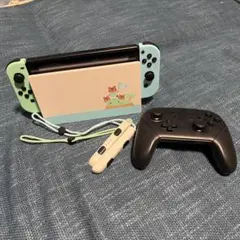 2026年最新】Nintendo Switch あつまれ どうぶつの森セットの人気