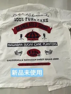 Item thumbnail for item 2d89bb29-8c83-4db1-8510-19e23a3f6a9b