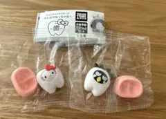 サンリオキャラクターズ みんなでなっちゃお! -歯- 2個セット