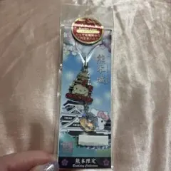 Item thumbnail for item dca4de9e-ba88-4b90-8c86-1c3884b2e5be