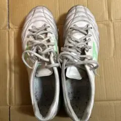 モナルシーダ NEO 3