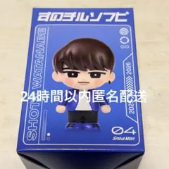 Snow Man Dome Tour ON すのチルソフビ 渡辺翔太