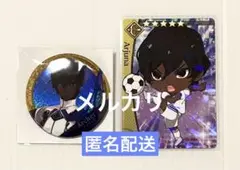 fgo カルナ アルジュナ 缶バッジ ステッカー fgo カルナ アルジュナ 缶バッジ ステッカー