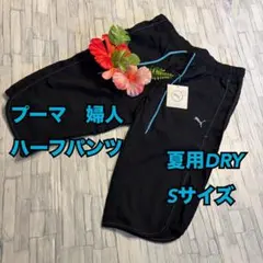 U75　プーマ　レディース　ハーフパンツ　DRY　S　スポーツ　女子　女性　夏用