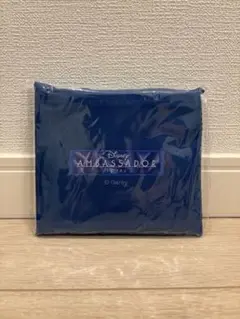 アンバサダーホテル ポーチ