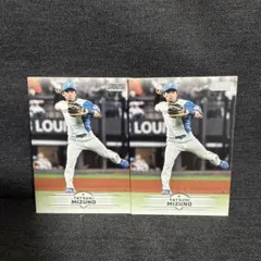 Item thumbnail for item cc841244-d88a-470e-a521-41af0821061f