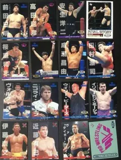 2026年最新】uwfの人気アイテム - メルカリ
