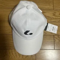 Item thumbnail for item 74ee20ec-54d9-4b87-9c1f-69b07aae329e