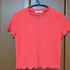 Item thumbnail for item 76fb7136-04f1-45aa-92ab-f40d926d9f87