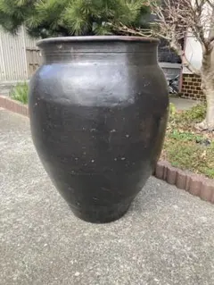 2026年最新】メダカ壺の人気アイテム - メルカリ