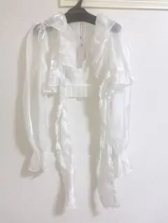 《値下げしました》《訳あり》新品★Ank Rouge シアークロップドブラウス★