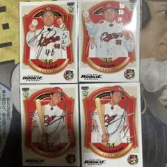 Item thumbnail for item 5fb6e3a3-592b-4ec6-b9ad-777ad9da3975