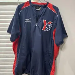 ヤクルト　スワローズ　90年代仕様　スタジアムジャンパー ヤクルト スワローズ 90年代仕様 スタジアムジャンパー - メルカリ