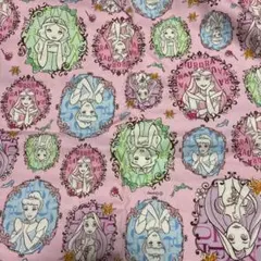 ディズニープリンセス生地 はぎれ　110cm×50cm