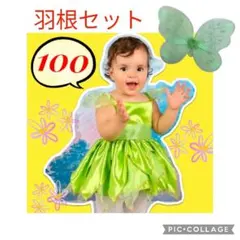 妖精 ティンカーベル コスプレ 羽セット　チュール 仮装　ハロウィン　100