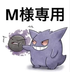 M様 リクエスト 3点 まとめ商品