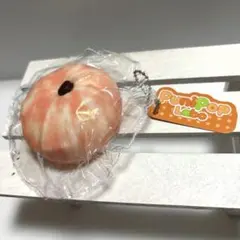 Punipoplabo 乾燥チーズ りんご 果物 桃 ピンク スクイーズ