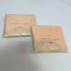 【新品未開封品】 東京ディズニーランドホテル エコバッグ2点