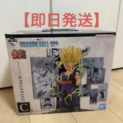 Item thumbnail for item f0dfa865-a37b-480d-bbcd-33e055276191