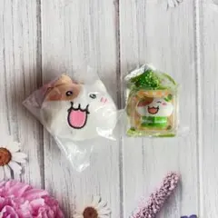 q*様 もちにゃみ いちごコレクションSET 受注生産 限定商品 - メルカリ