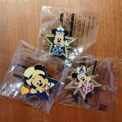 ディズニーシー 20周年 ピンバッジ